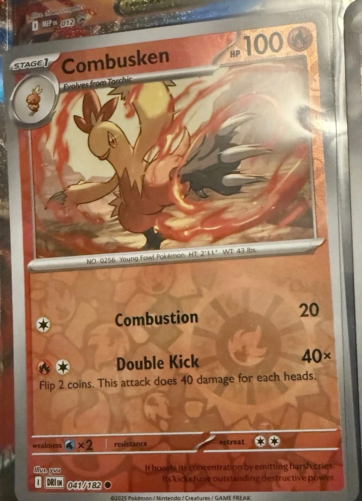 Jumbo Mega Lucario EX Bundle1